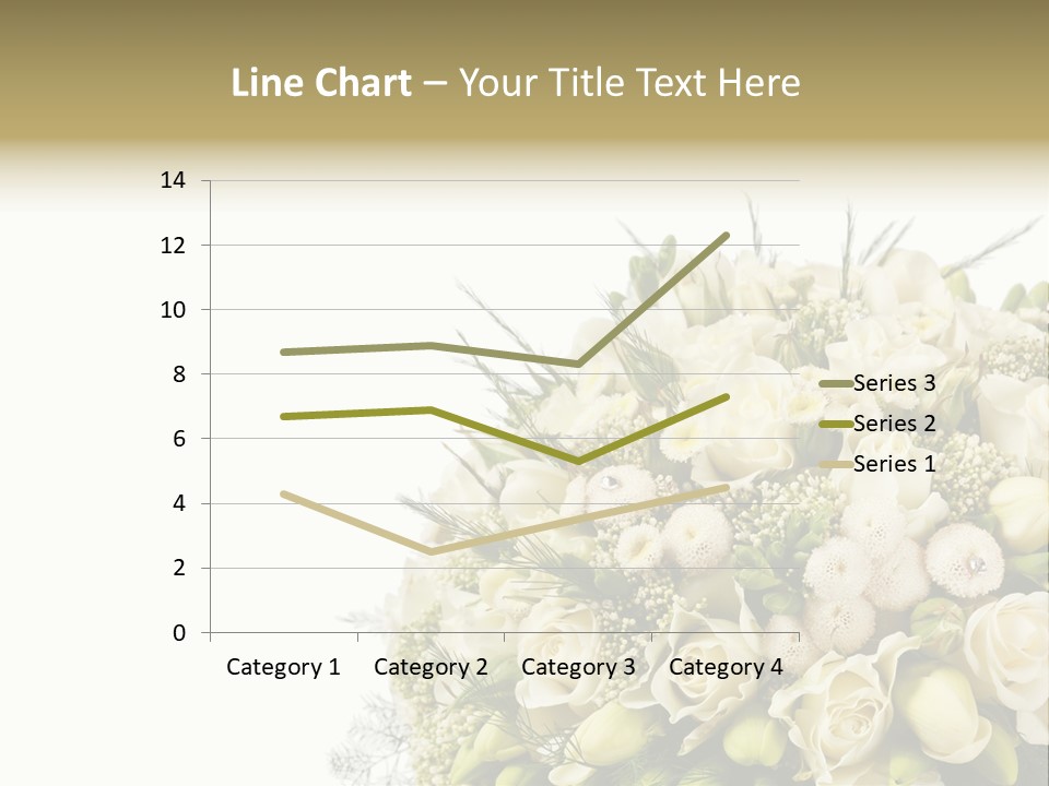 Space Bridal Copy PowerPoint Template