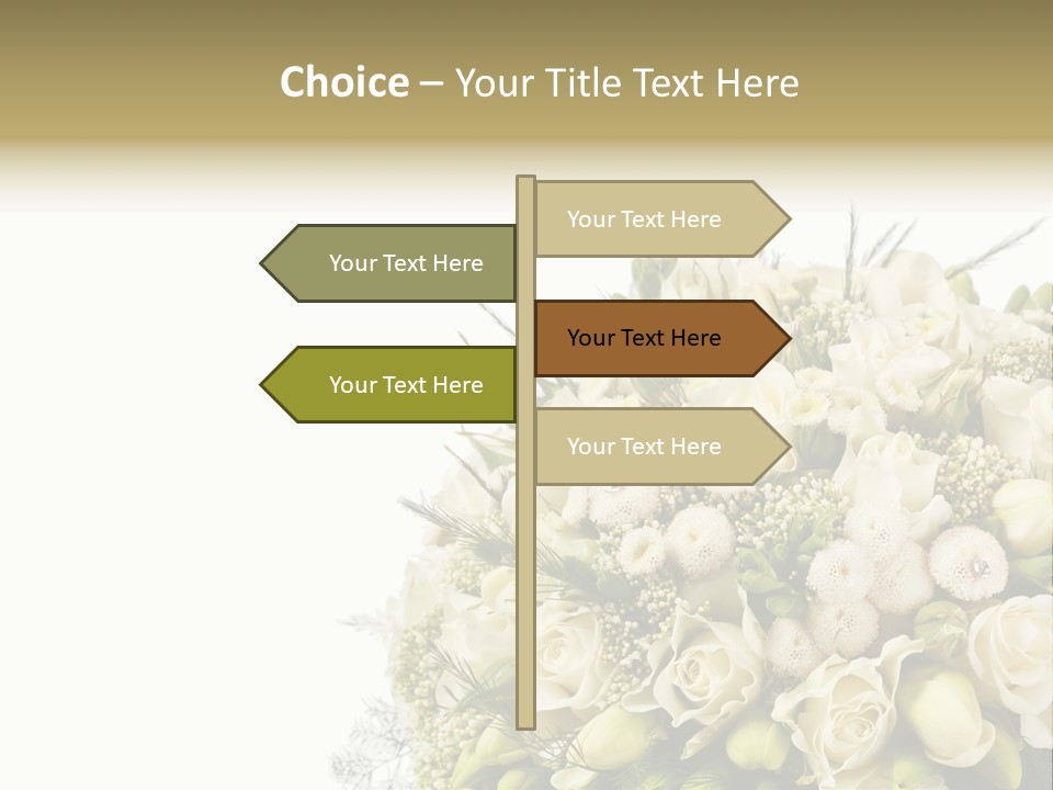 Space Bridal Copy PowerPoint Template