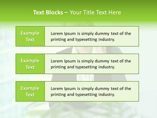Representative Help Desk Attractive PowerPoint Template