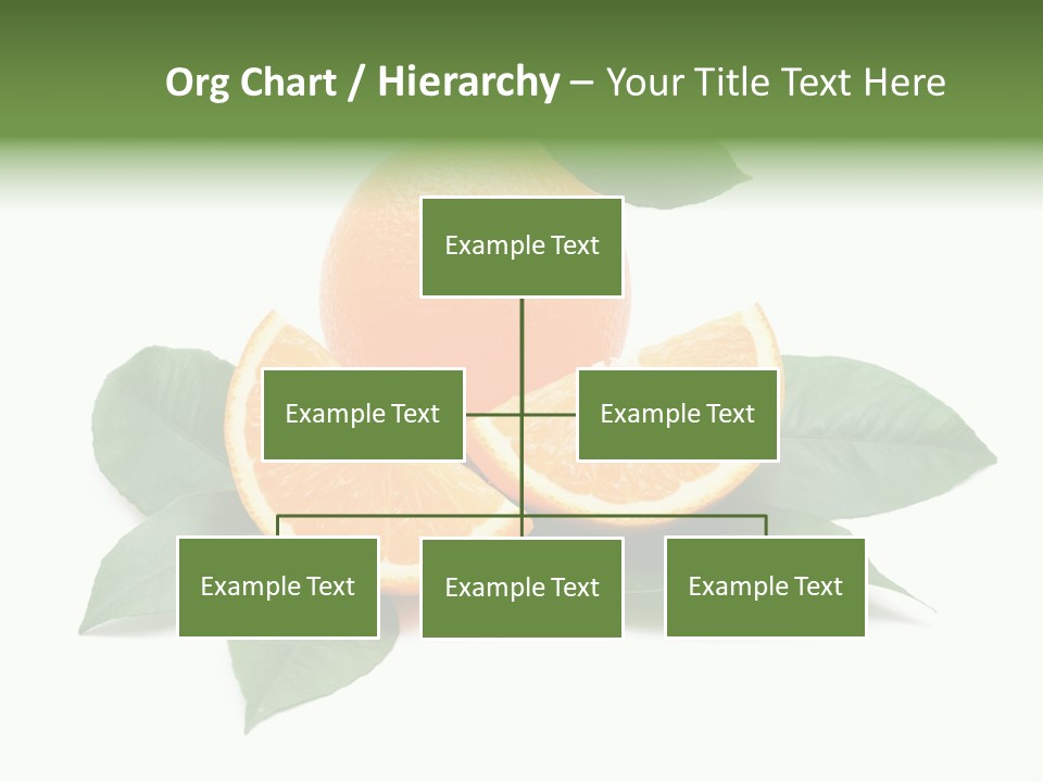 Eat Diet Half PowerPoint Template
