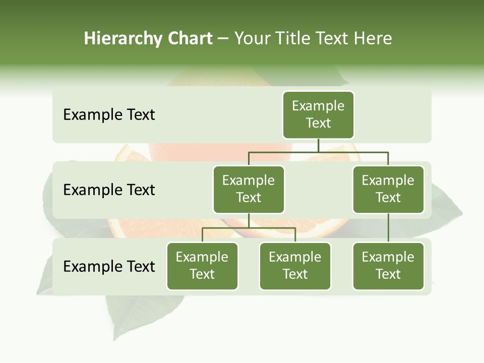 Eat Diet Half PowerPoint Template