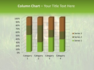 Young Adult Female Smile PowerPoint Template