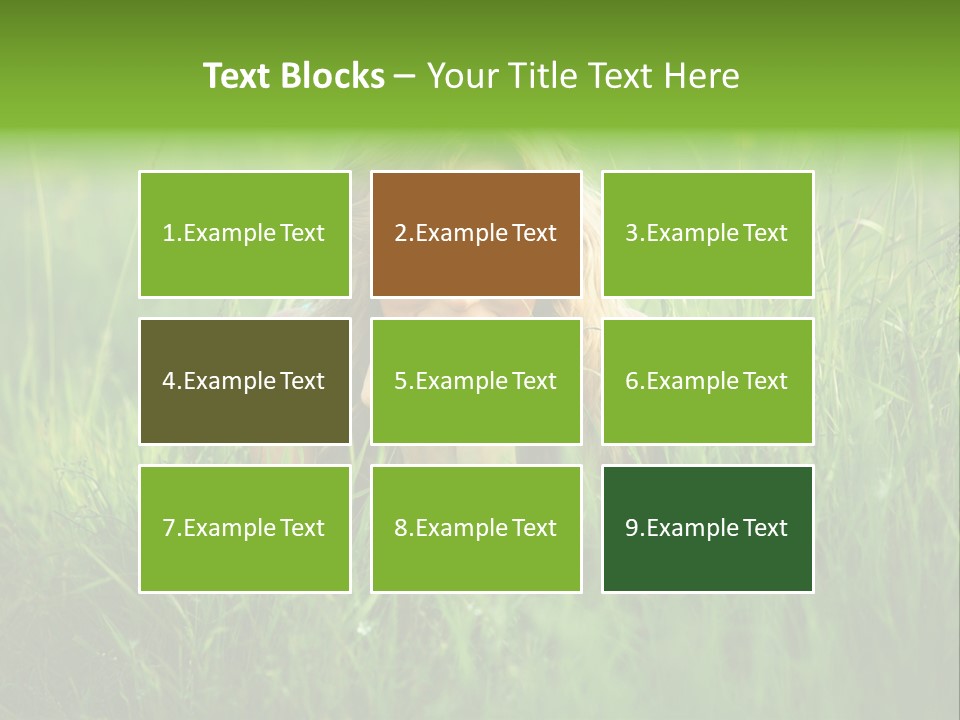 Young Adult Female Smile PowerPoint Template