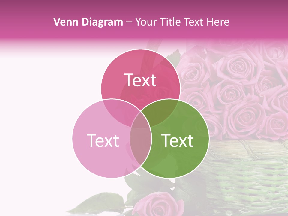 Close Up Day Gift PowerPoint Template