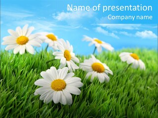 Nature Meadow Group PowerPoint Template