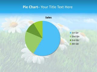 Nature Meadow Group PowerPoint Template