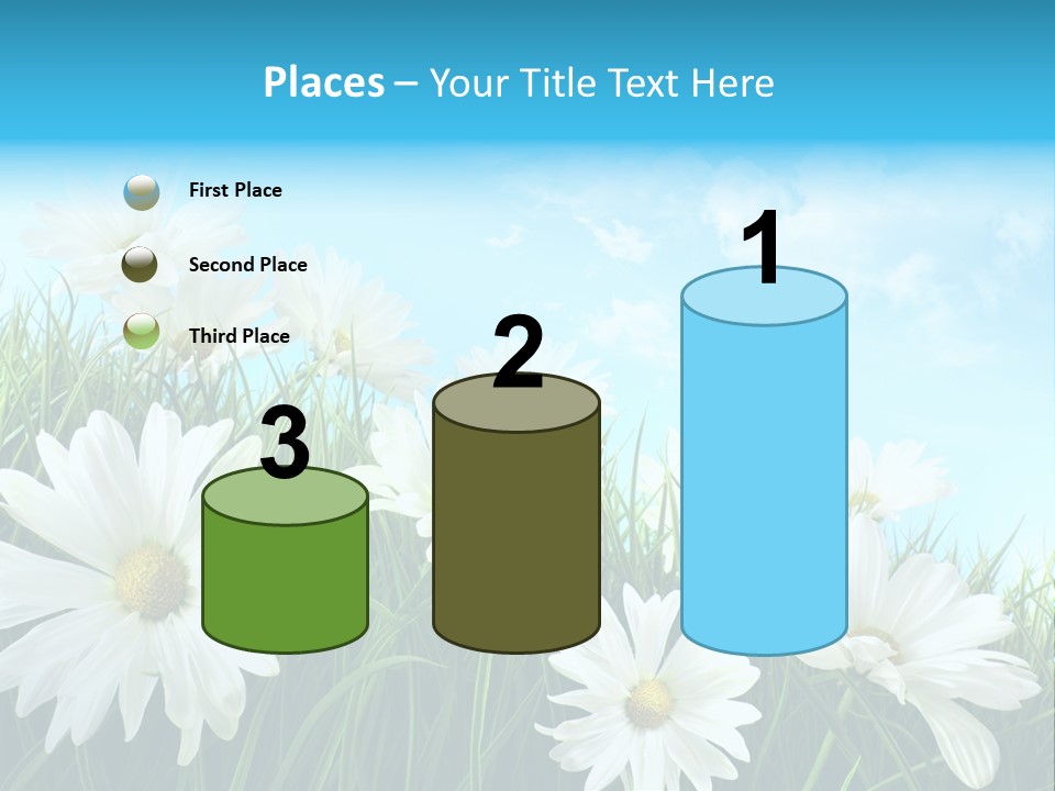 Countryside Plain Daisy PowerPoint Template