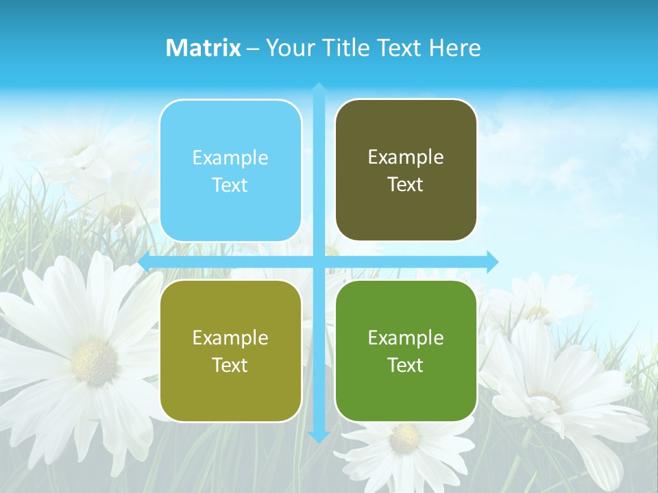 Countryside Plain Daisy PowerPoint Template