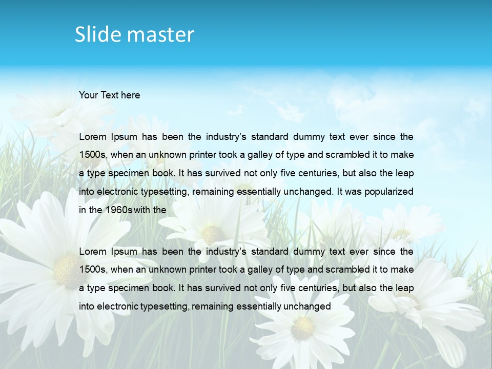 Countryside Plain Daisy PowerPoint Template