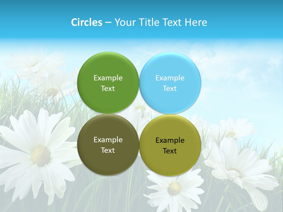 Countryside Plain Daisy PowerPoint Template