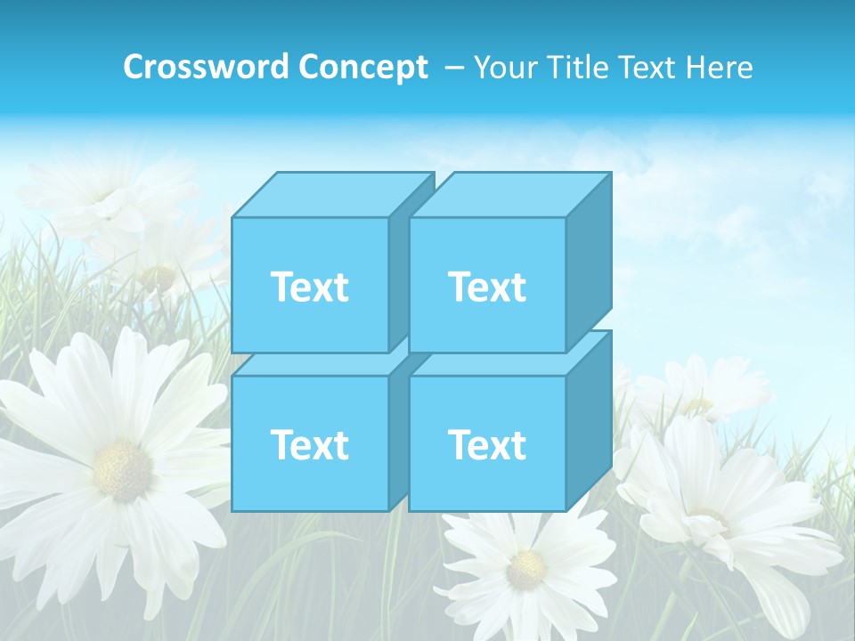 Countryside Plain Daisy PowerPoint Template