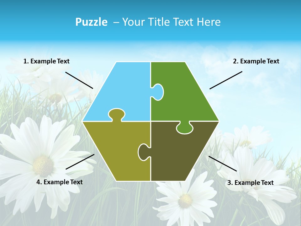 Countryside Plain Daisy PowerPoint Template