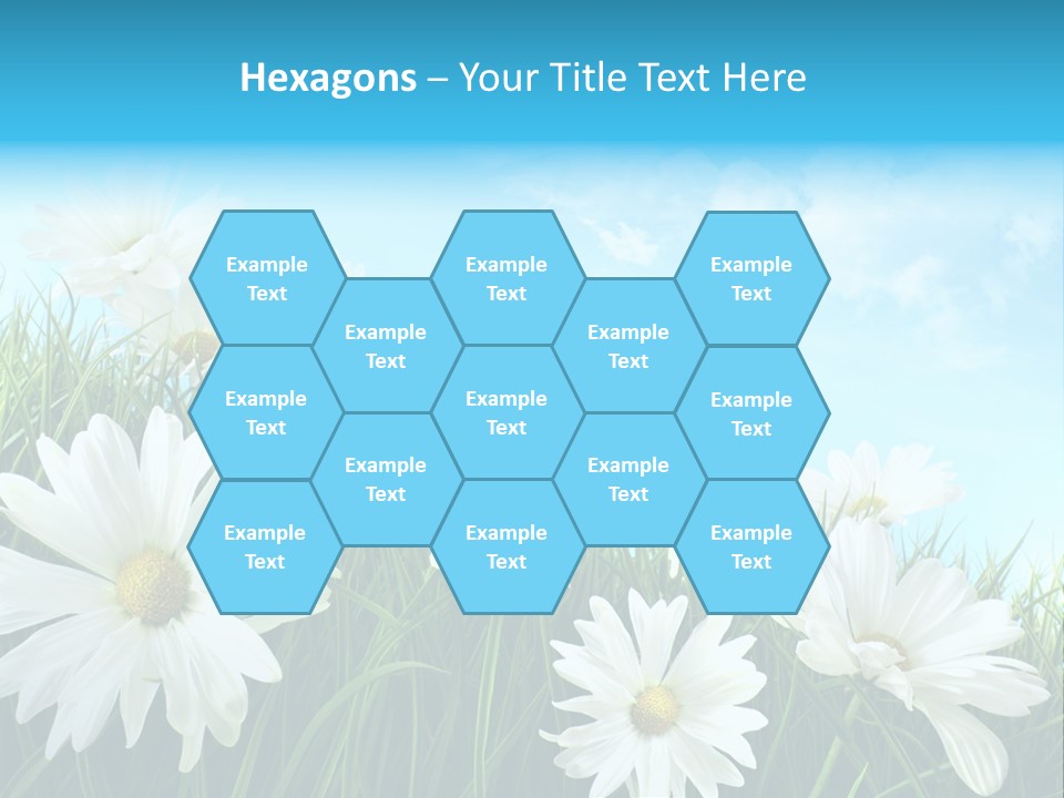 Countryside Plain Daisy PowerPoint Template