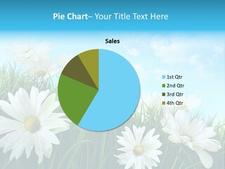 Countryside Plain Daisy PowerPoint Template