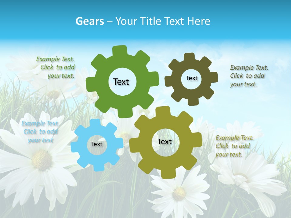 Countryside Plain Daisy PowerPoint Template