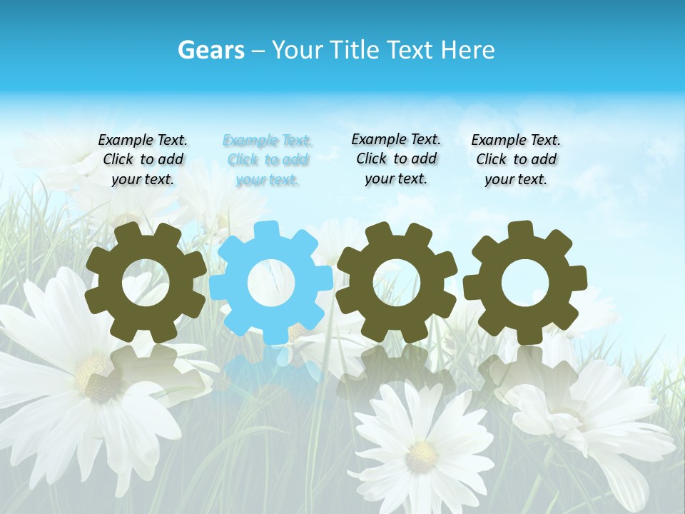Countryside Plain Daisy PowerPoint Template