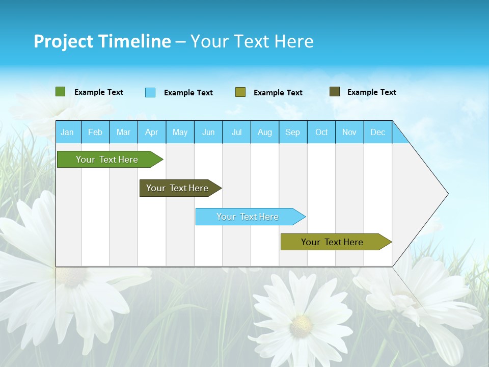 Countryside Plain Daisy PowerPoint Template