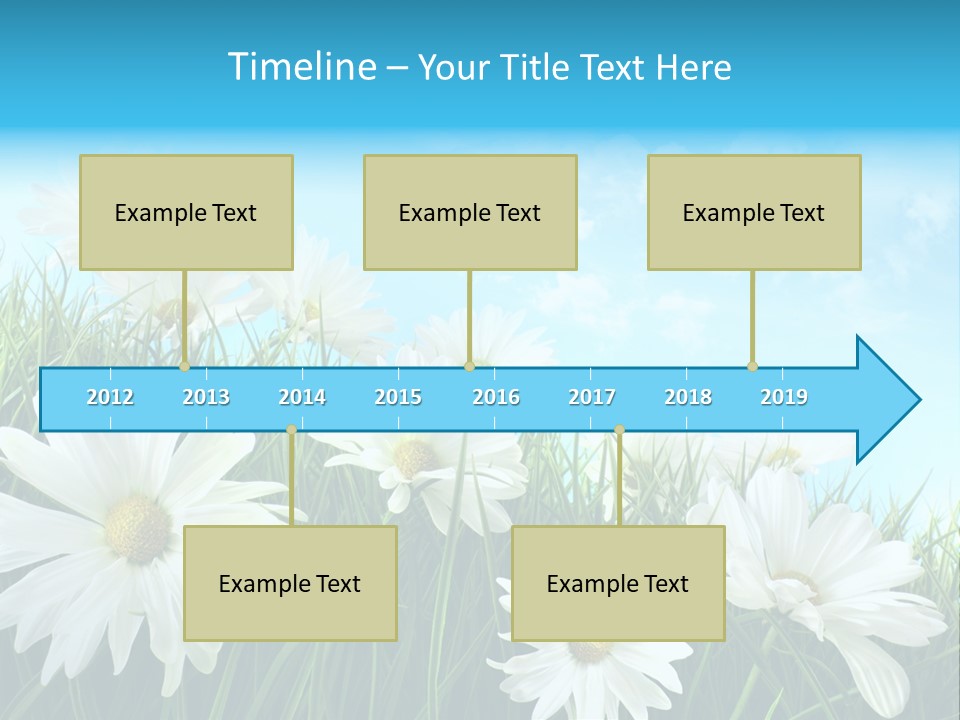Countryside Plain Daisy PowerPoint Template
