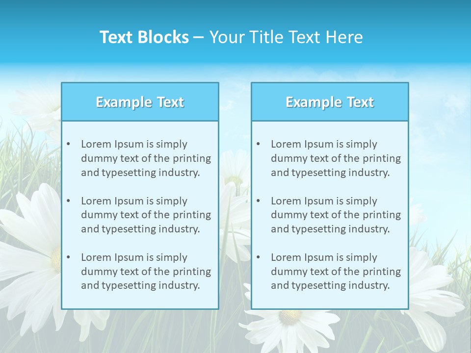 Countryside Plain Daisy PowerPoint Template