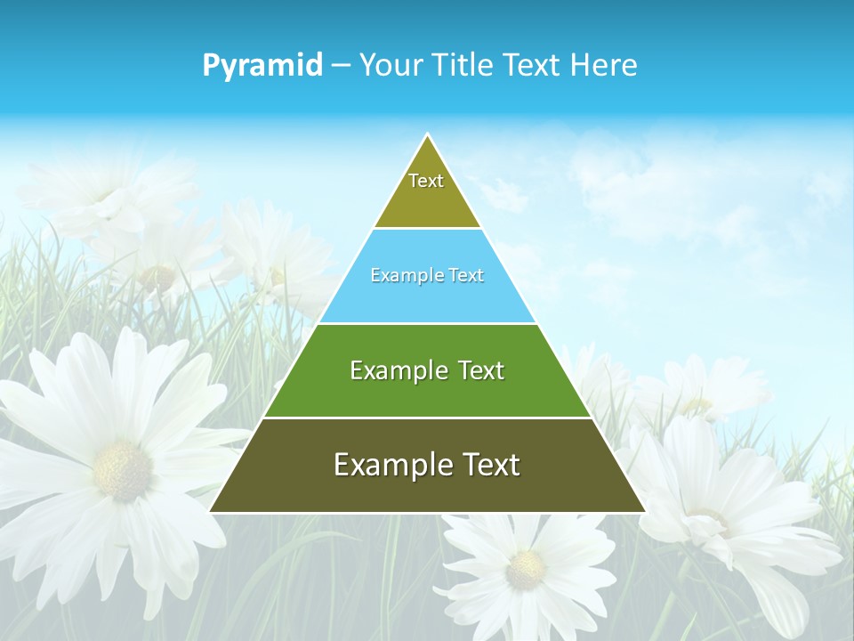 Countryside Plain Daisy PowerPoint Template