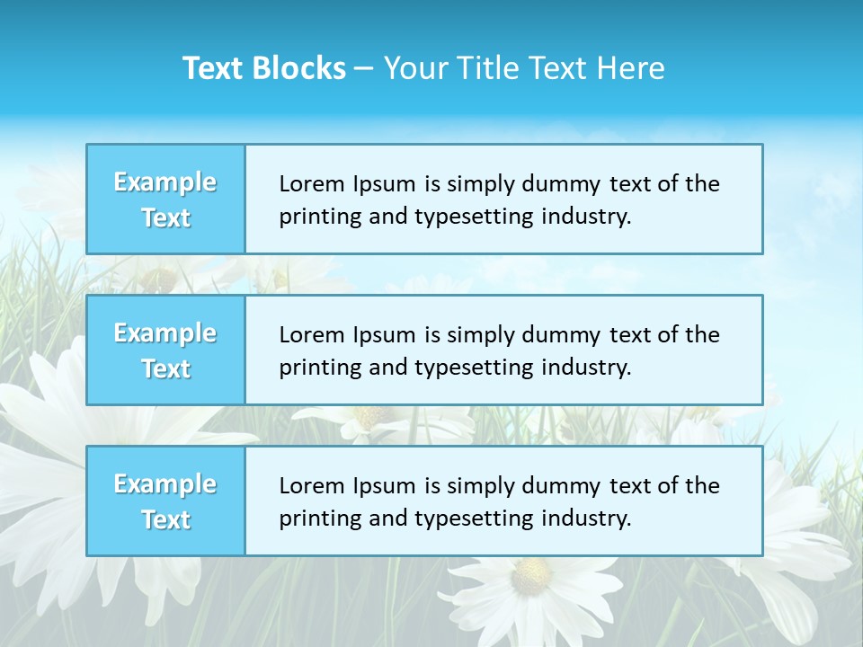 Countryside Plain Daisy PowerPoint Template