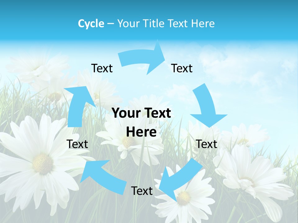 Countryside Plain Daisy PowerPoint Template