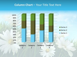 Countryside Plain Daisy PowerPoint Template