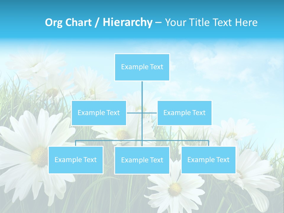 Countryside Plain Daisy PowerPoint Template
