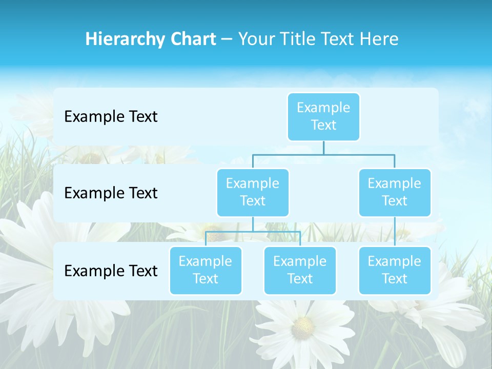 Countryside Plain Daisy PowerPoint Template