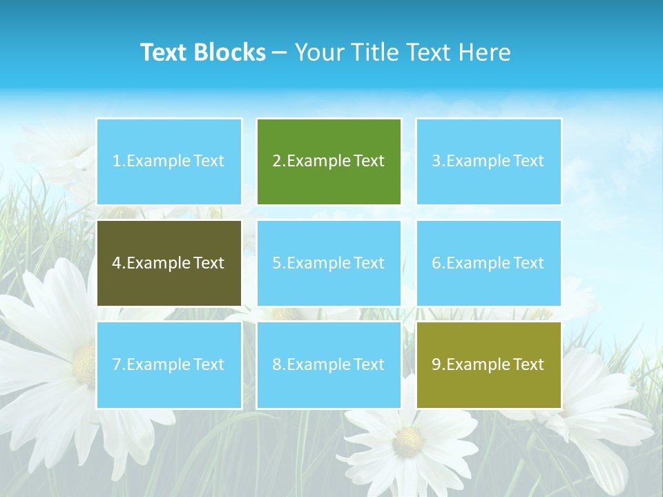 Countryside Plain Daisy PowerPoint Template