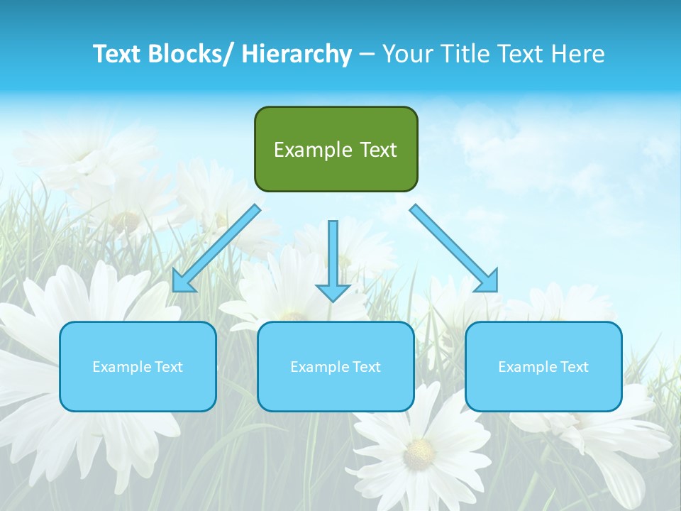 Countryside Plain Daisy PowerPoint Template