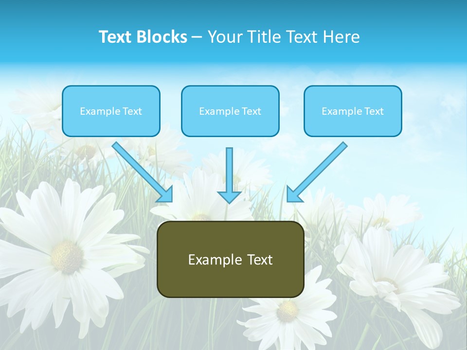Countryside Plain Daisy PowerPoint Template