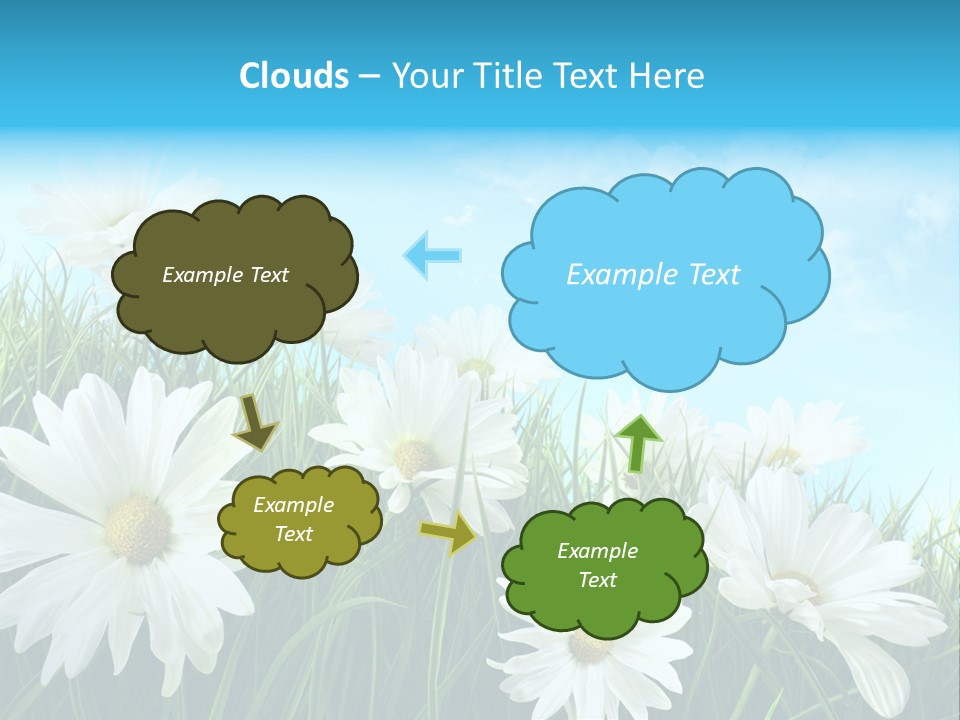 Countryside Plain Daisy PowerPoint Template
