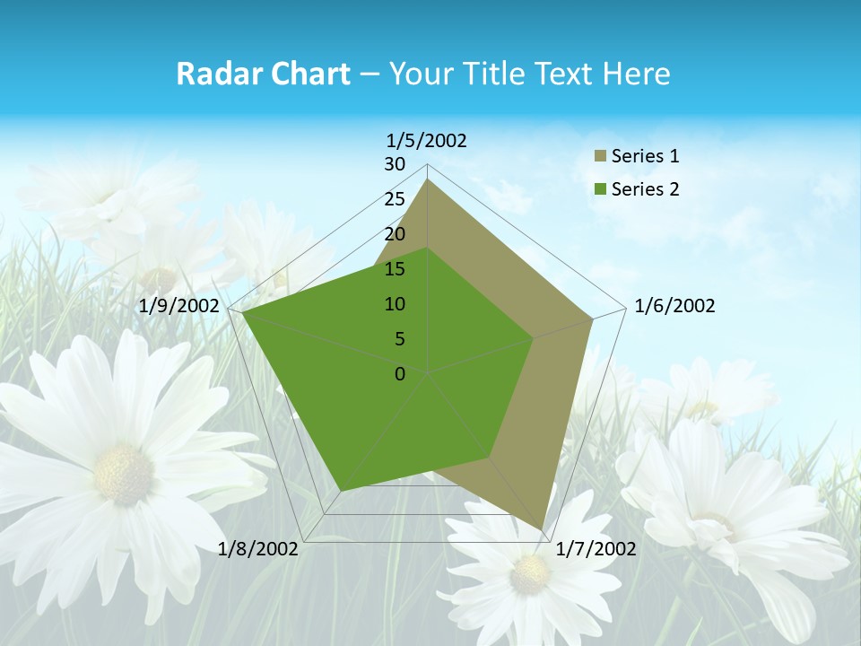 Countryside Plain Daisy PowerPoint Template