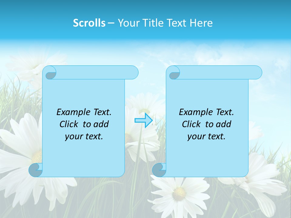 Countryside Plain Daisy PowerPoint Template