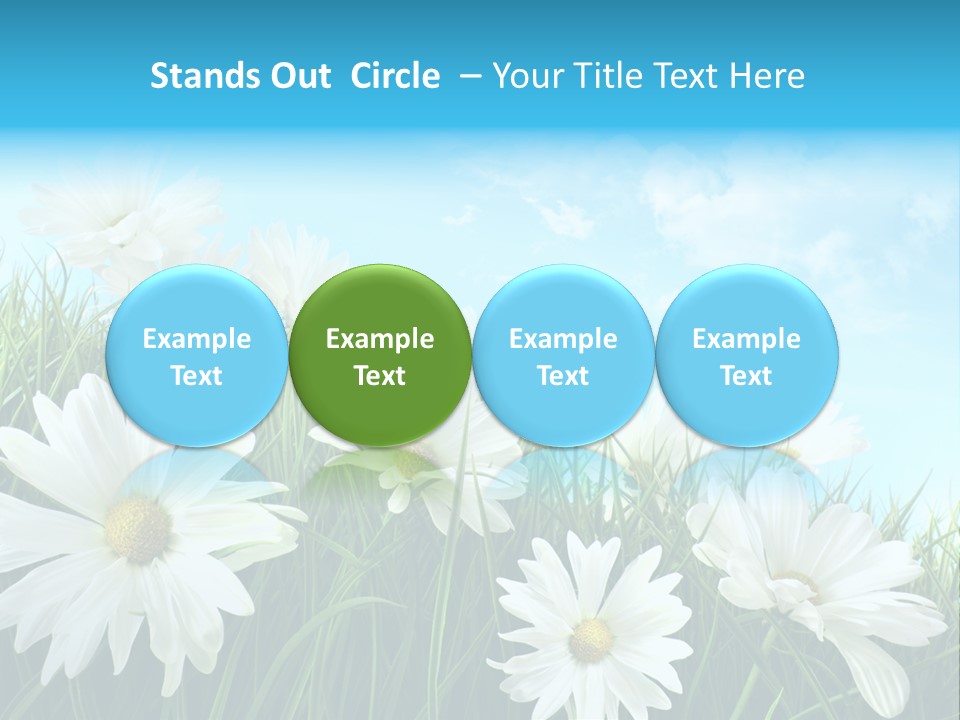 Countryside Plain Daisy PowerPoint Template