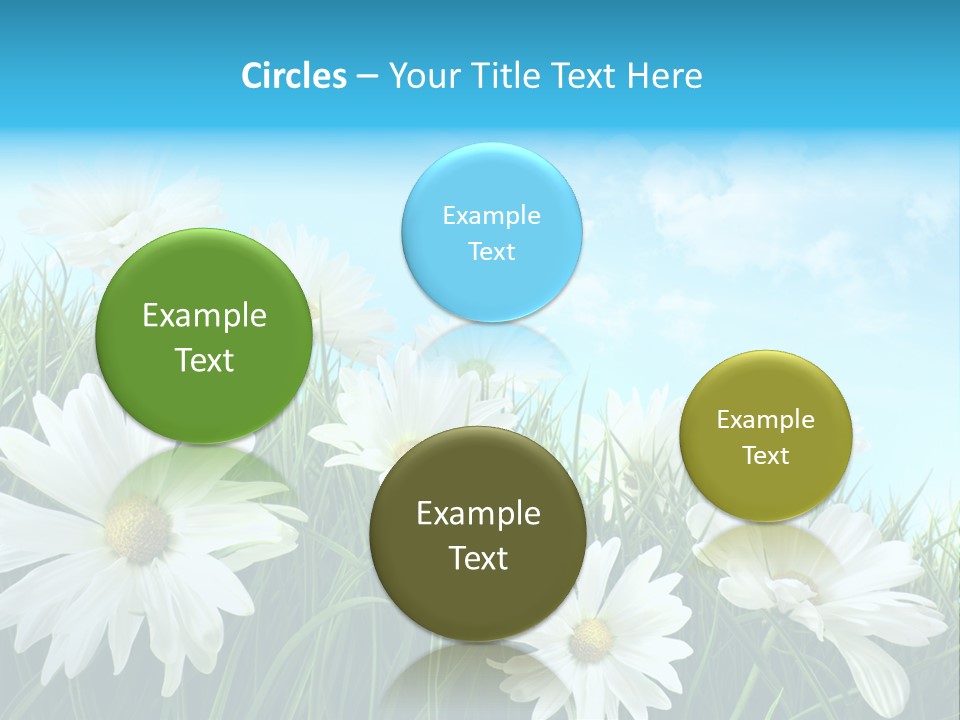 Countryside Plain Daisy PowerPoint Template