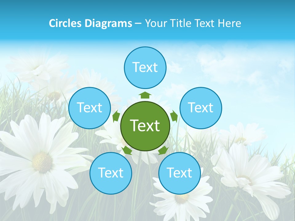 Countryside Plain Daisy PowerPoint Template