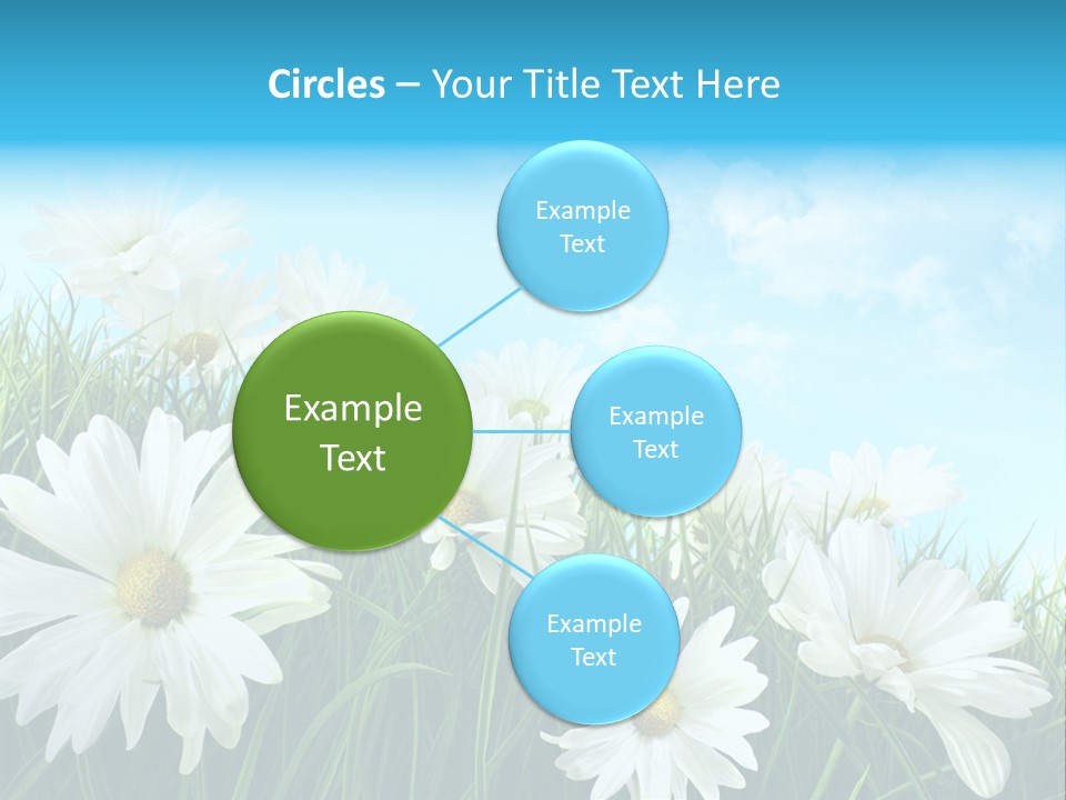 Countryside Plain Daisy PowerPoint Template