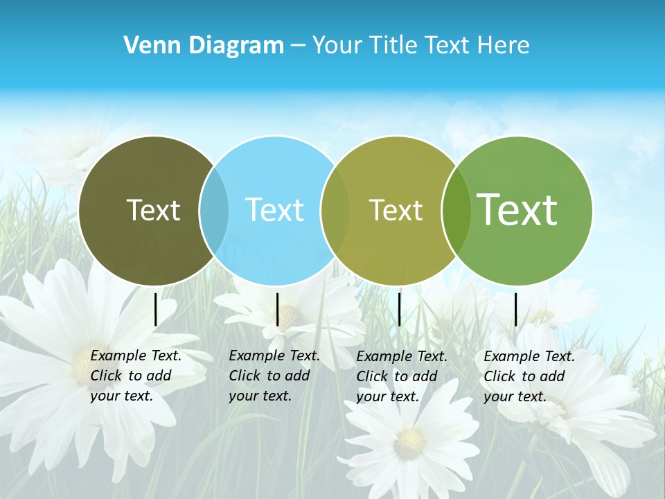 Countryside Plain Daisy PowerPoint Template