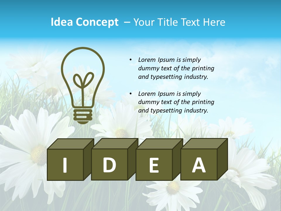 Countryside Plain Daisy PowerPoint Template