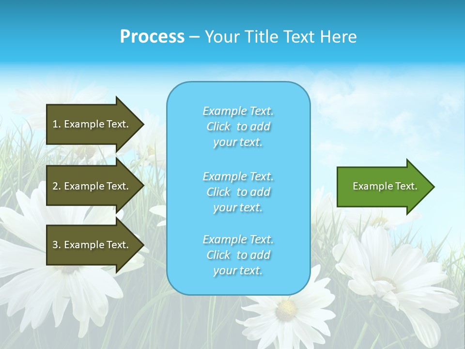 Countryside Plain Daisy PowerPoint Template