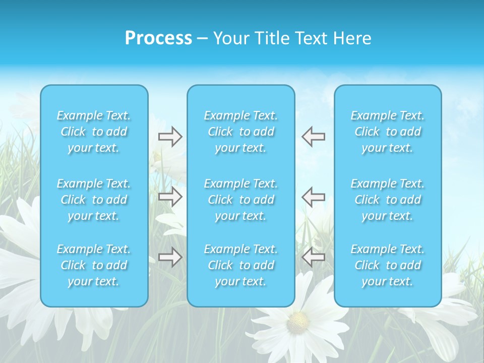 Countryside Plain Daisy PowerPoint Template