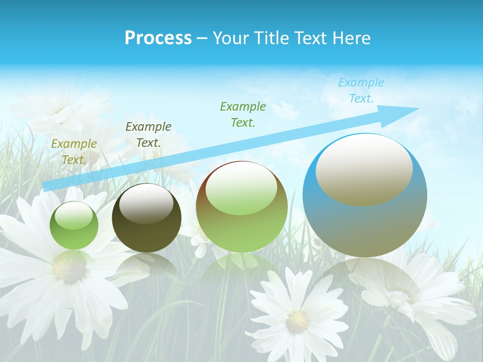 Countryside Plain Daisy PowerPoint Template