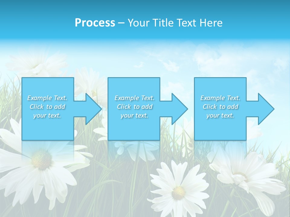 Countryside Plain Daisy PowerPoint Template