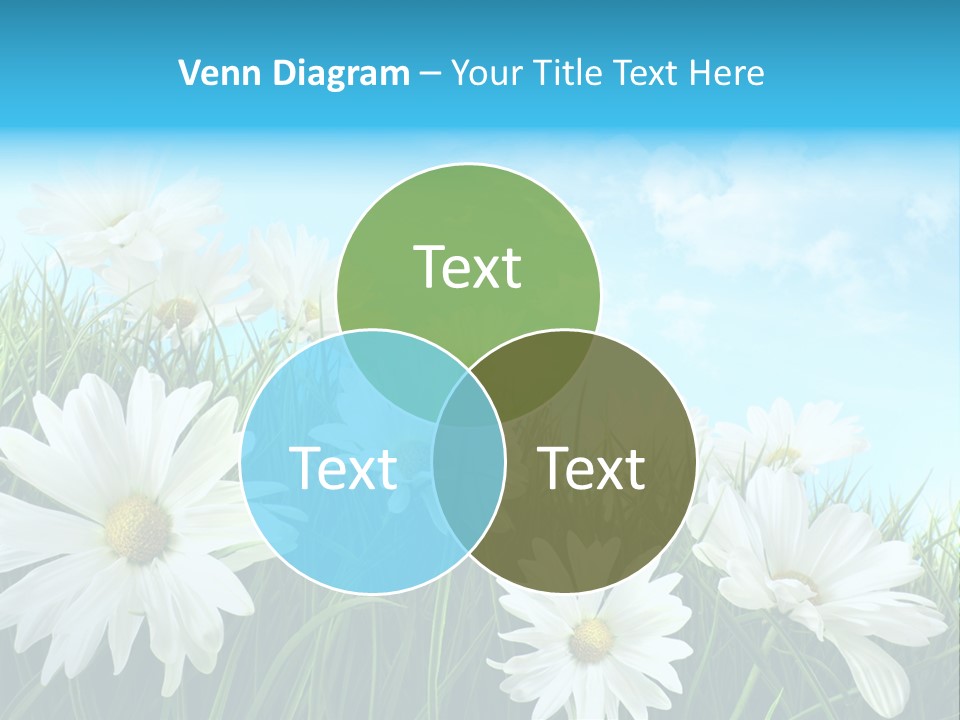 Countryside Plain Daisy PowerPoint Template