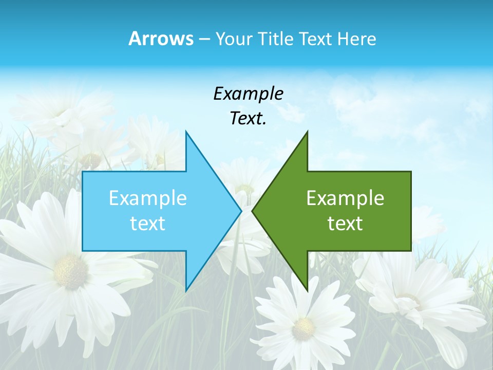 Countryside Plain Daisy PowerPoint Template