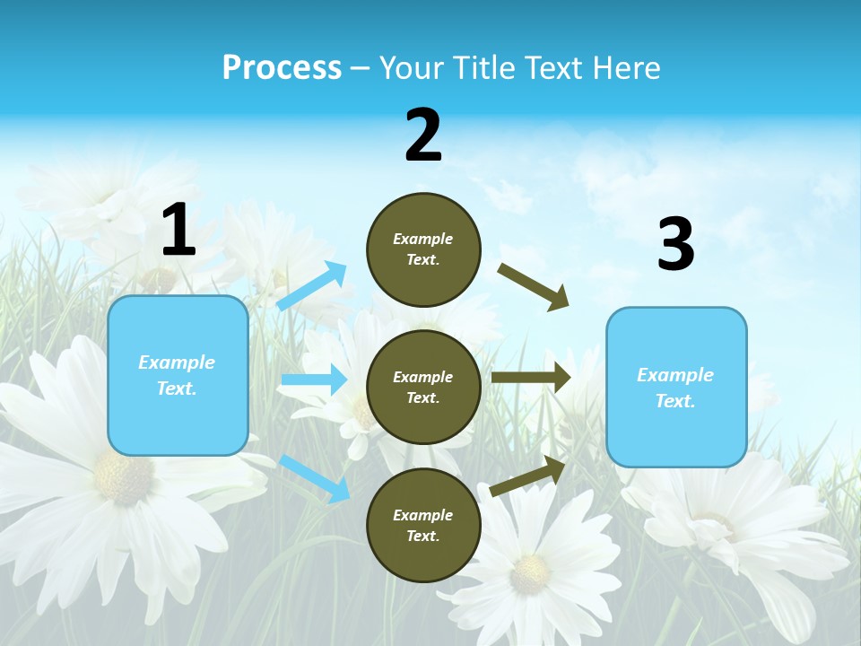 Countryside Plain Daisy PowerPoint Template