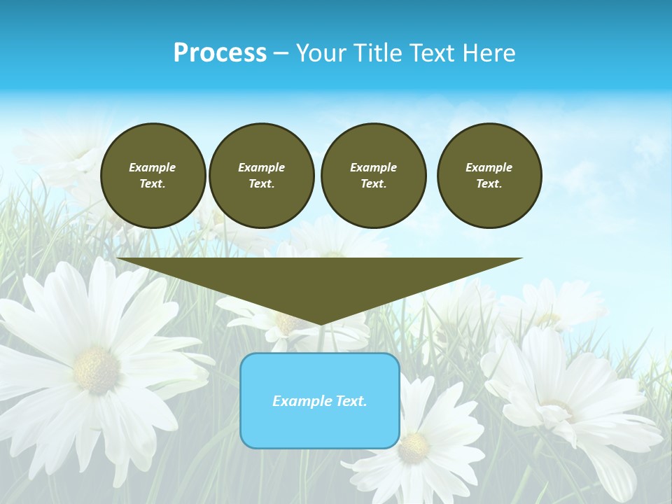 Countryside Plain Daisy PowerPoint Template