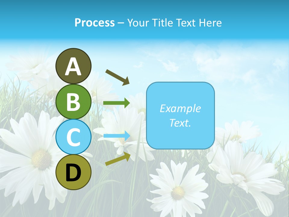 Countryside Plain Daisy PowerPoint Template